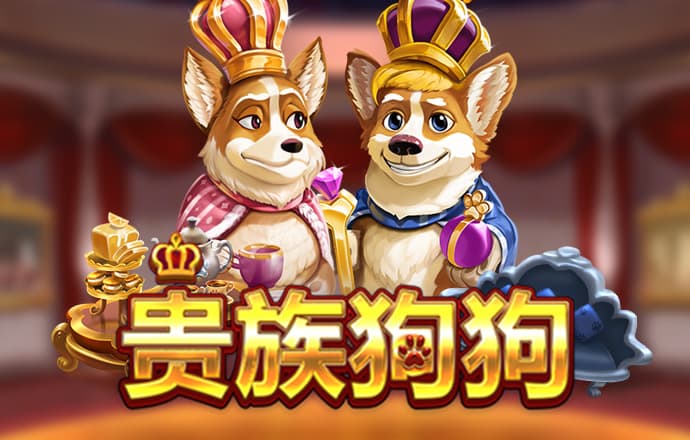 威尼斯娱乐官方